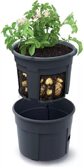 Black Flower Pot