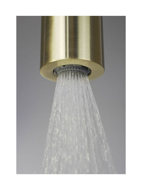 Deante Built-in Mixer Phone & Shower Head Set for Shower Gold