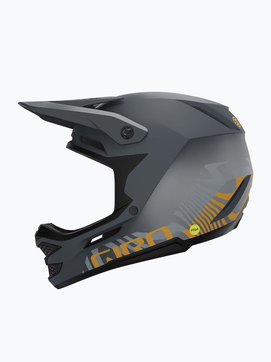 Giro Full Face Bicycle Helmet Grey