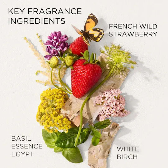 Elizabeth Arden Green Tea Strawberry Basil Feuchtigkeitsspendende Körpercreme 500 ml