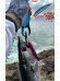 Noeby Folding Fishing Pliers Grip Aluminum Alloy Red