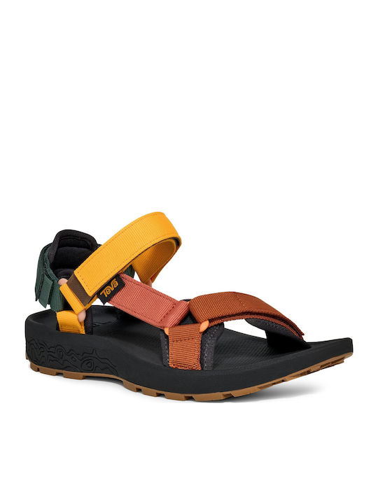 Teva
