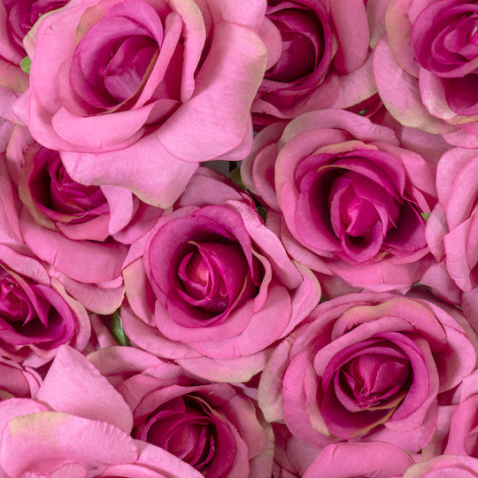 GloboStar Синтетичен Панел Филoсия 40x15cm Roses Story