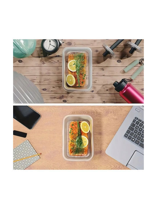 Set Cutii De Prânz Din Plastic Transparente 5cm 12 Bucăți