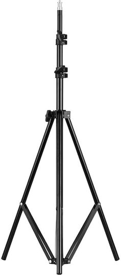 Set 2 Softboxuri Zola Lumină Continuă 5500 K 2 Becuri 30w 50x70 Cm Trepied Reglabil 95-200 Cm Filet 1/4" Aluminiu ABS Negru