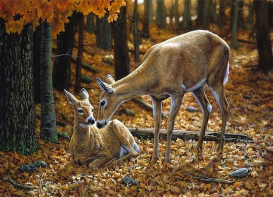 Broderie Mozaic cu Diamante Zola Cerb în Pădure Design 30 x 40 cm