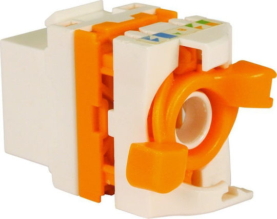 Televes 209921 Keystone Jack Rj45 Utp Cat.6a Θηλυκό 180° Tool-free White