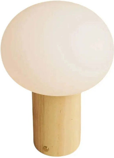 Phos & Gaia Lămpi Decorative Pentru Masă Phos & Gaia Lămpi Decorative Pentru Masă