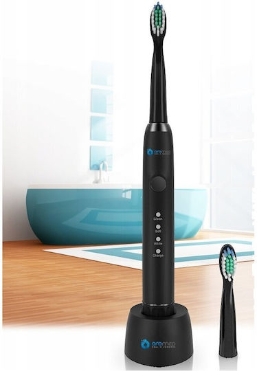 Oromed Basic Elektrische Zahnbürstenköpfe für elektrische Zahnbürste Black 2Stück