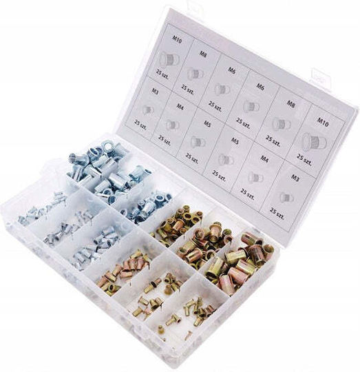 Set Cutie Cu Nuci 300 Bucăți