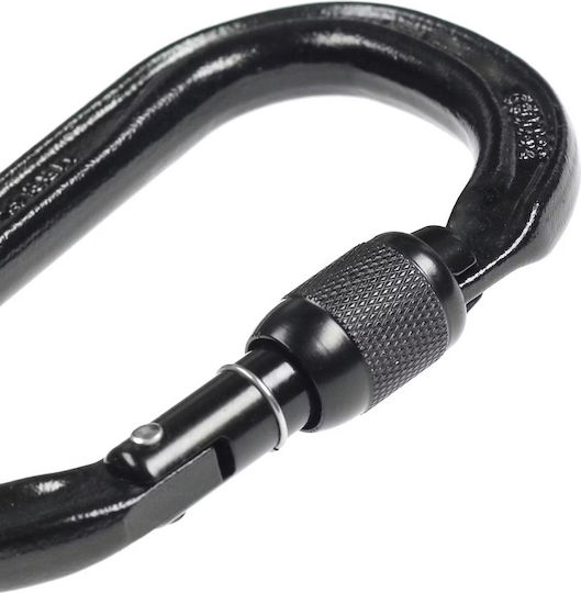 Petzl Vulcan Carabinier Cu Închidere Cu Șurub Negru