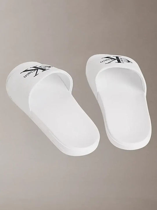 Slides în Culoare Albă