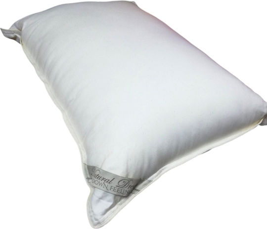 Beauty Home Bed Pillow Cotton Made 50x70cm
