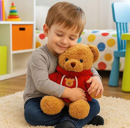 Plush Teddy Bear Valentine's Day 40 cm