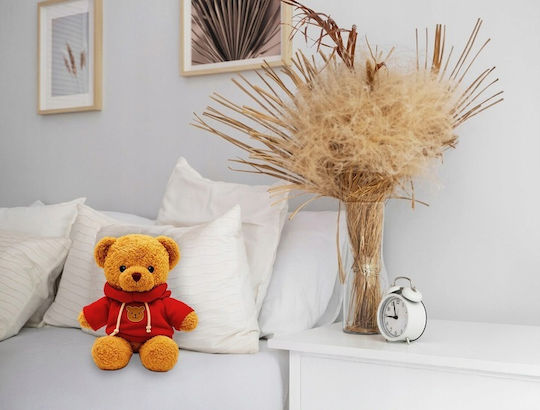 Plush Teddy Bear Valentine's Day 40 cm