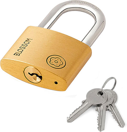 Padlocks Set 4 Pieces Bt Bc90 Brass 25.0mm Size Blossom 1 Piece