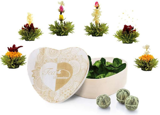 Creano Green Tea 6 Bags 190gr