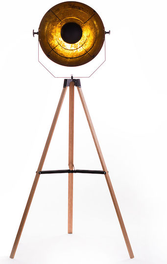 Admiral Staging Photorhythmics Support Accessories