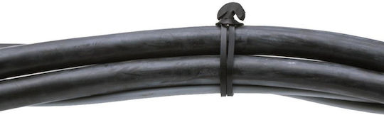 Admiral Staging Photorhythmics Support Accessories