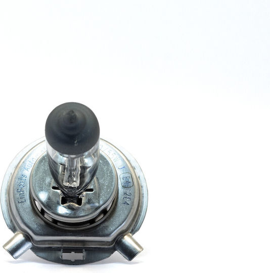 Einparts Autolampen H4 Halogen 3000K Warmes Weiß 12V Menge 2