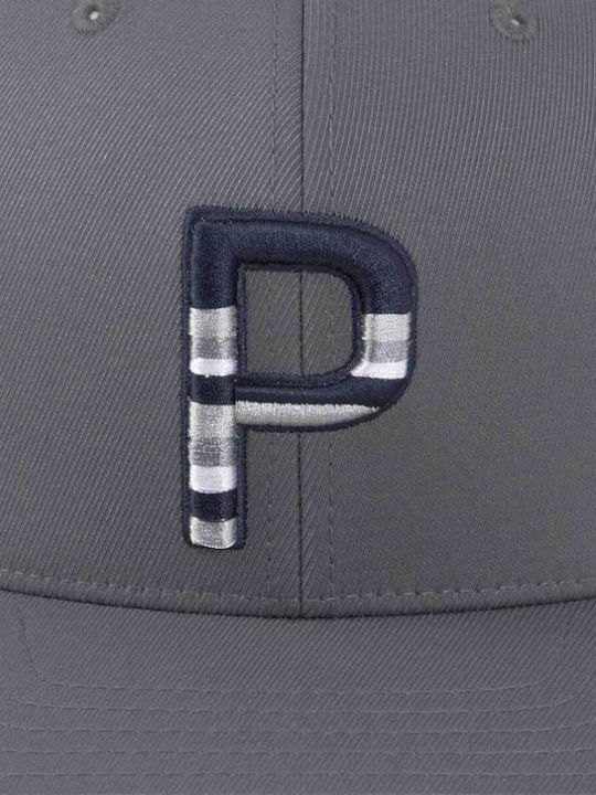 Puma Sundown LKW-Fahrer Snapback Kappen Grau Weiß