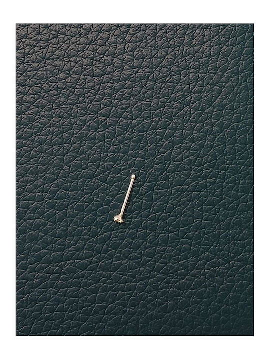 Piercing Nas Din Argint