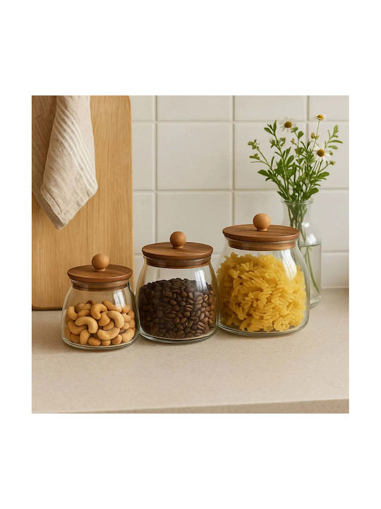 Phos & Gaia Set of 3 Jars for Tea Coffee with Wooden Transparent Lid