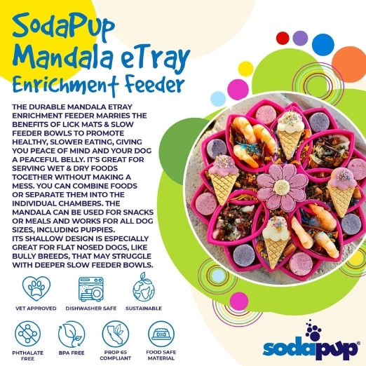 Sodapup Slow Feeder Food Bowl for Dog 20.3cm in Yellow Color