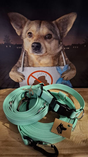 Bailu Foldable Dog Leash Lead Training Strap In Green Colour