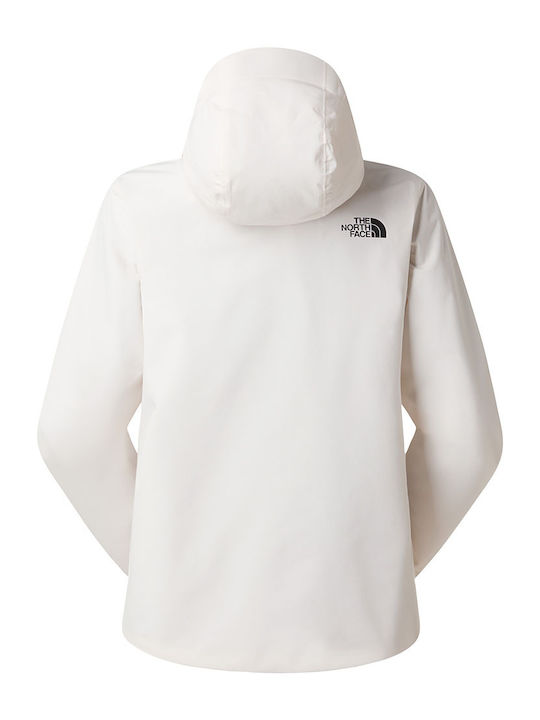 The North Face The North Face