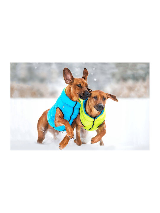 Doggy Dolly L 65 Wasserdicht Airyvest Doppelter Seite Offenes Grün + Blau