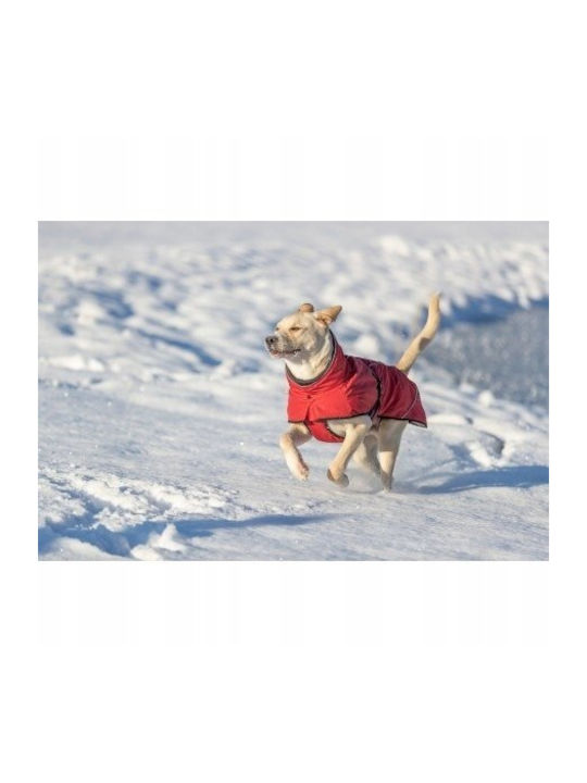 Explore Thermo Winter Coat Dog Sangria Xs 30 Cm