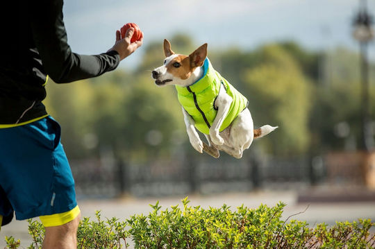 Doggy L 65 Ветроустойчив Airyvest Двустранен Светлозелен + Син