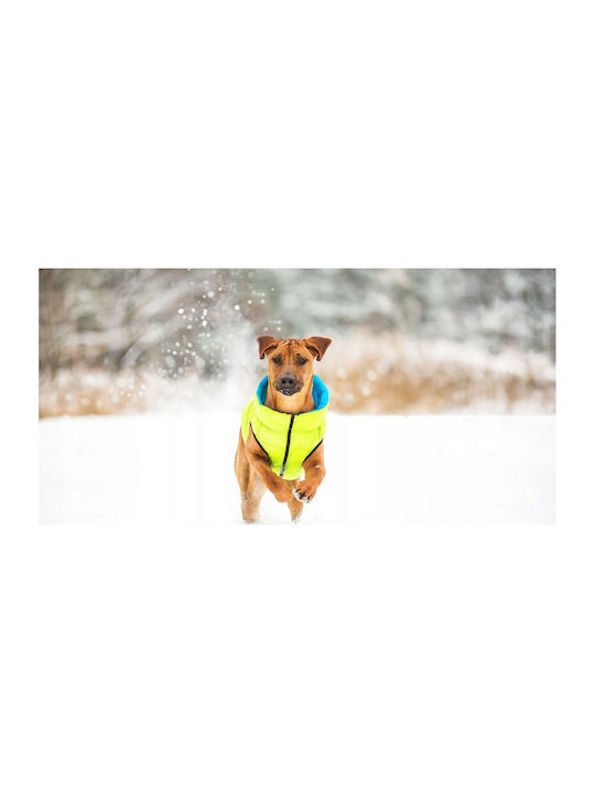 Doggy Dolly L 65 Wasserdicht Airyvest Doppelter Seite Offenes Grün + Blau
