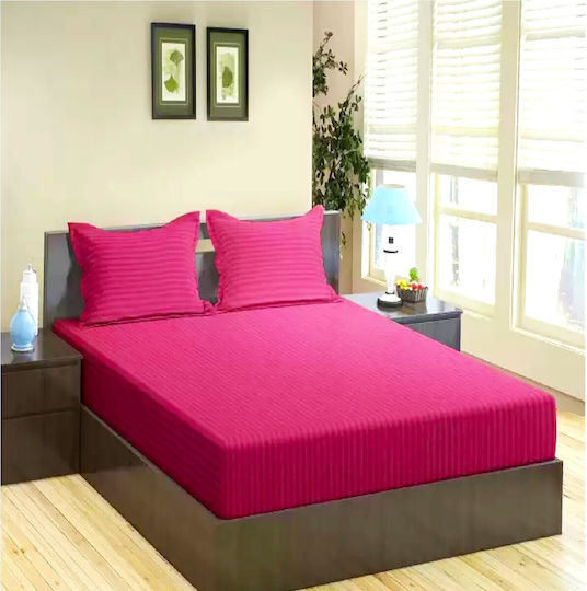 Kotonia Home Kotonia Home