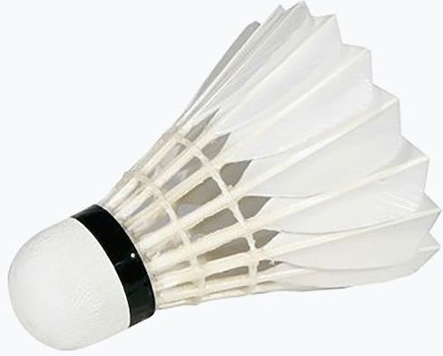 Victor Φτερά Badminton 12τμχ