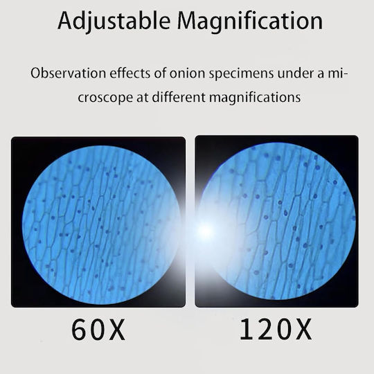 Microscop Educațional Portabil Zola 60x/120x Mărire Focalizare Reglabilă Iluminare Led 10.5x5.3 Cm Alb