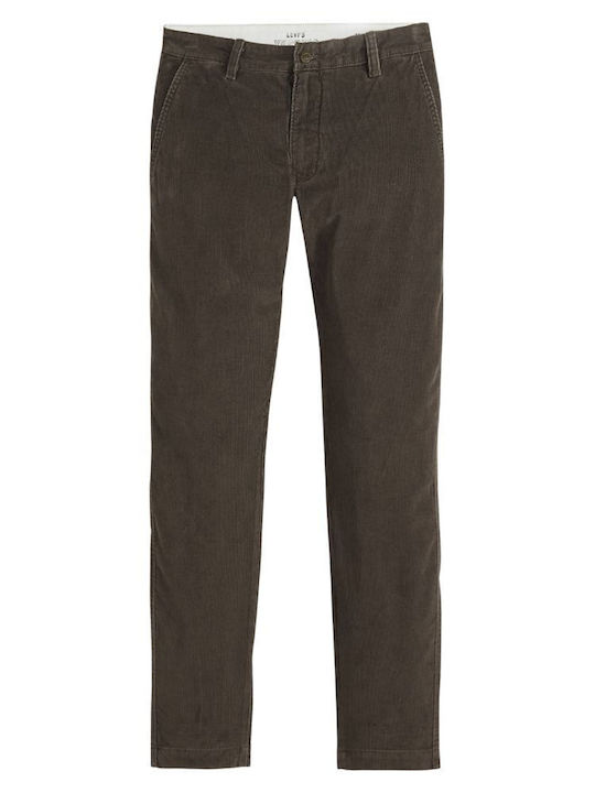 Xx Standard Παντελόνι Chino Ελαστικό σε Tapered Γραμμή Browns