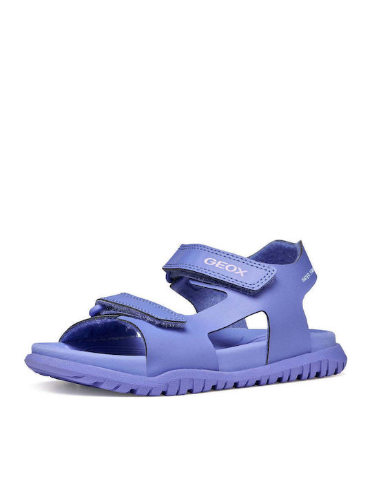 Geox Geox