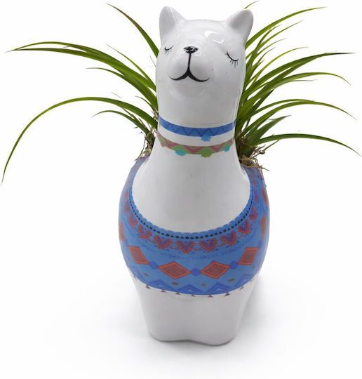 Lama Ceramică Plantă Tillandsia Y20cm13cm10 02754 Milvaflowers