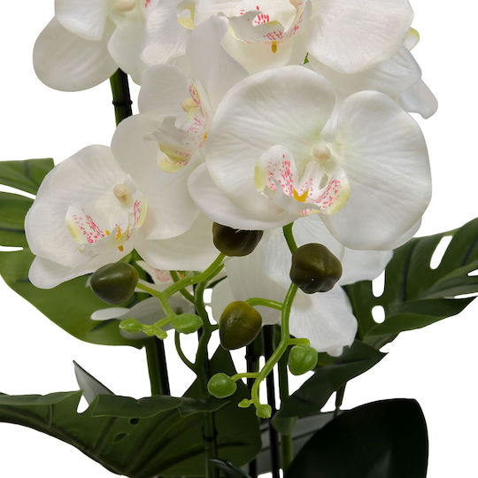 Τεχνητό Λουλούδι Γλάστρα 81εκ A-s Orchid Asia 214107 Κεραμικό
