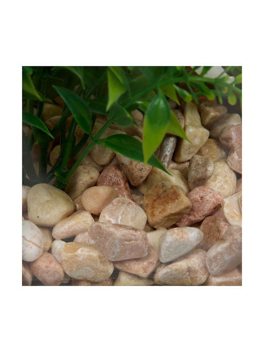 Artificial Plant Yala 16.5x14x23 A-s Fleur De Rose 214020 16.5x14x23 Glass