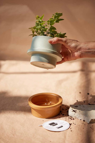 Folia Lumânare Aromatică Din Soia În Borcan Cu Miros De Lămâie 326gr