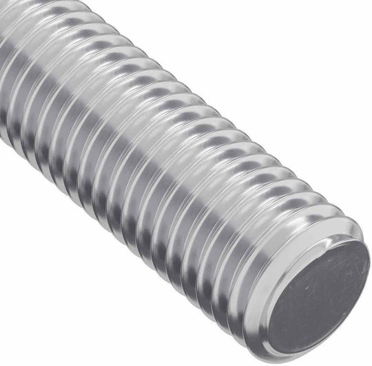vidaXL Screw with Diameter M6 and Length 170mm 2 Pieces