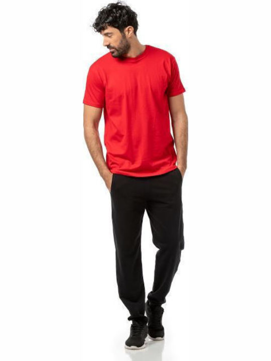 Short Sleeve Red Blouse
