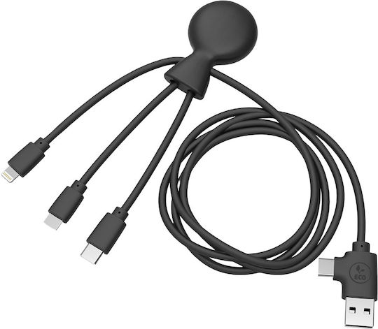 Xoopar Редовна USB към Lightning / Type-C Кабел Черен 1м