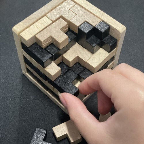 Holz Puzzle ZY12473QWS42
