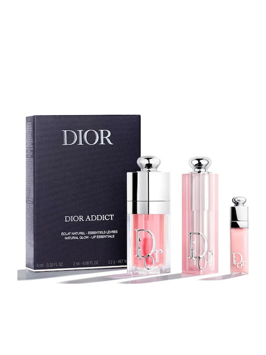 Dior Addict Βαλιτσάκι Μακιγιάζ για τα Χείλη Pink 3τμχ
