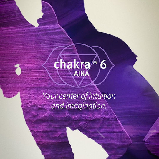 Aveda Chakra 6 Balancing Pure Fume Insight Spray de corp 100ml