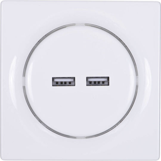 Geyer Walled Power Socket with 2 USB Ports White